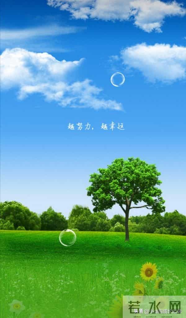 实习教师两周心得