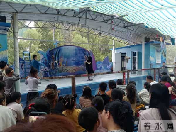 三年级日记之2025年国庆节游记和生活记录三则300字