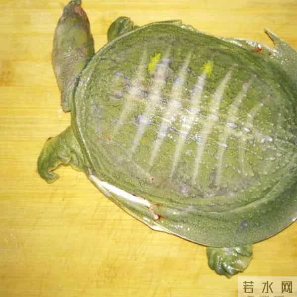 你做的清炖甲鱼汤,和饭店大厨相比,只差这一步