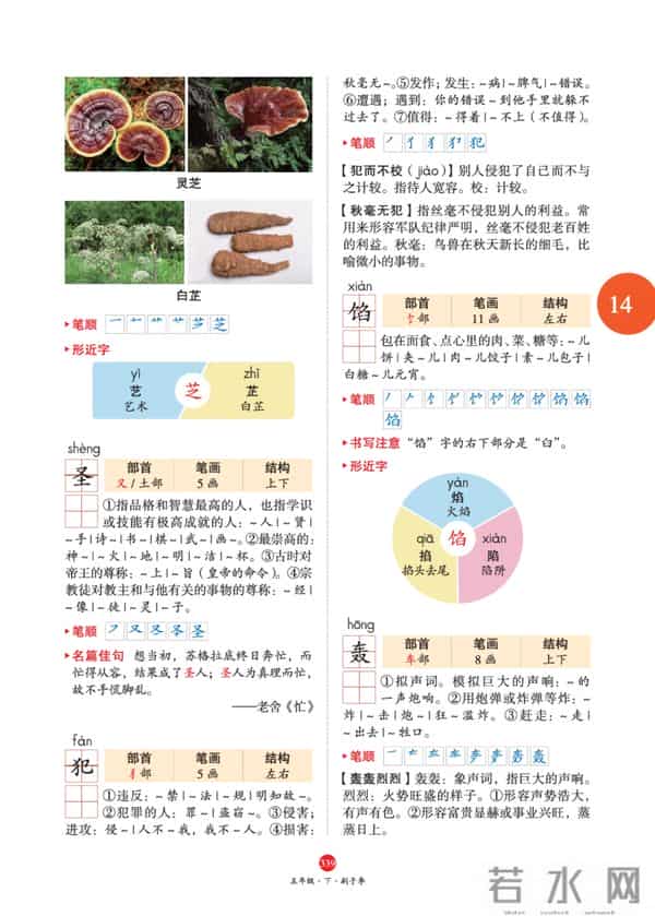 五年级下册语文，第14课《刷子李》笔记+课堂解析，收藏预习