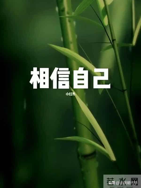 相信自己把握机会学习——行动才是改变的开始