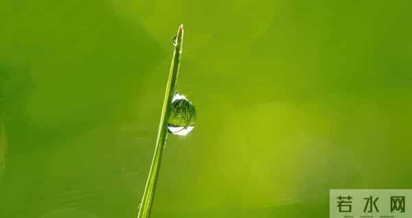 不会写行政执法类大作文？这篇国考申论范文就是你的参考答案