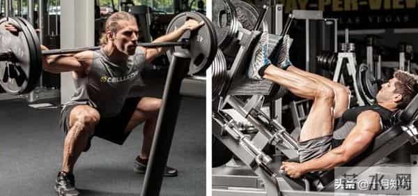 健身房练腿，经典6动作，全面刺激双腿，提升睾酮水平，强壮下肢