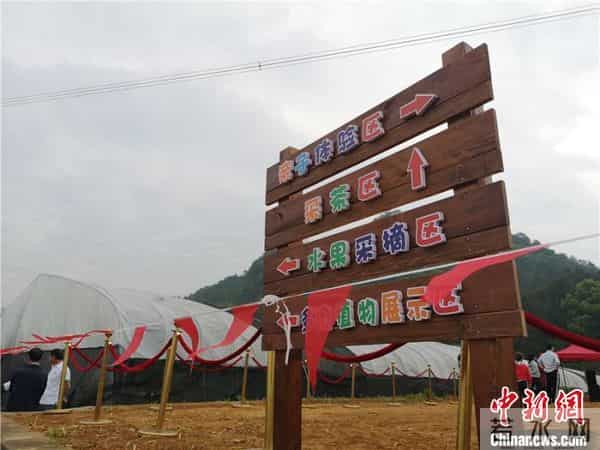 “五一”见闻：田园“农事”刮起旅游新风