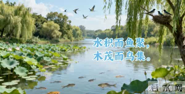 掌握好《人民日报》这些金句，高考作文分数暴涨