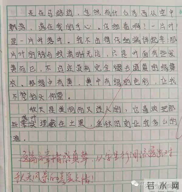 婺源县珍珠山中学学生作文展示——《迷人的秋天》