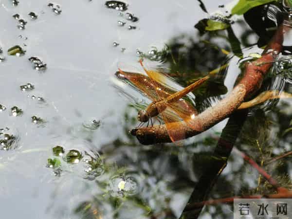 暑假余额不足，推荐带娃去杭州嘟嘟城体验最后的狂欢