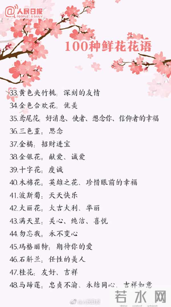 100种花的花语,收藏吧