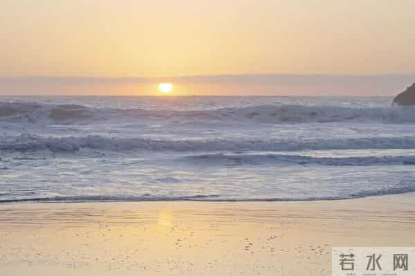 初一英语上册（人教版）第八单元重点语法