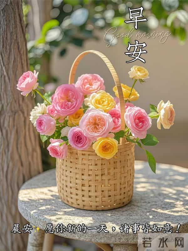 20句高级感早安祝福,愿你被阳光拥抱,吉祥如意绕心头,平安喜乐