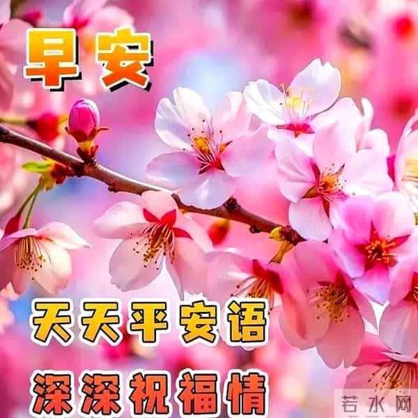 2024最新早上好金句,暖心温馨的早安祝福语精选,愿你幸福吉祥
