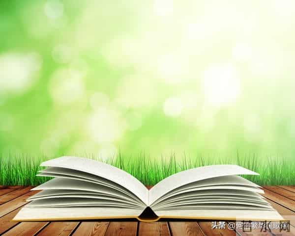 《读书的快乐》演讲稿600字(六年级口语交际)