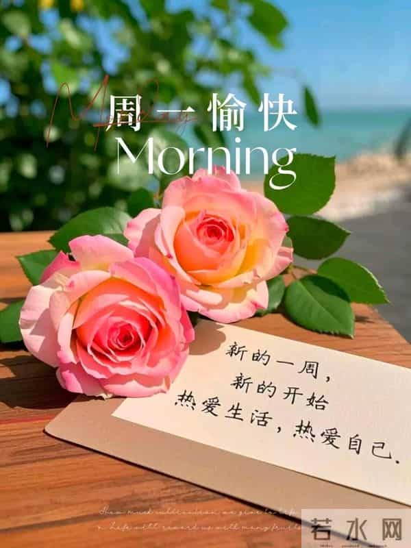 19句周一早安祝福,晨光送暖,新周启航,愿你事事顺遂,早安愉快