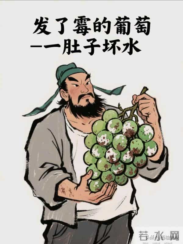 背下来，歇后语不脏，骂人超强!