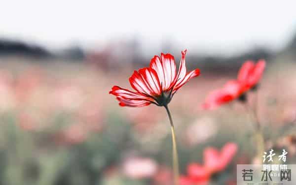 《巴黎圣母院》：改变命运的方法，永远只有一个