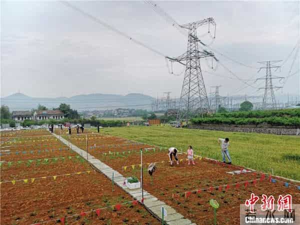 “五一”见闻：田园“农事”刮起旅游新风