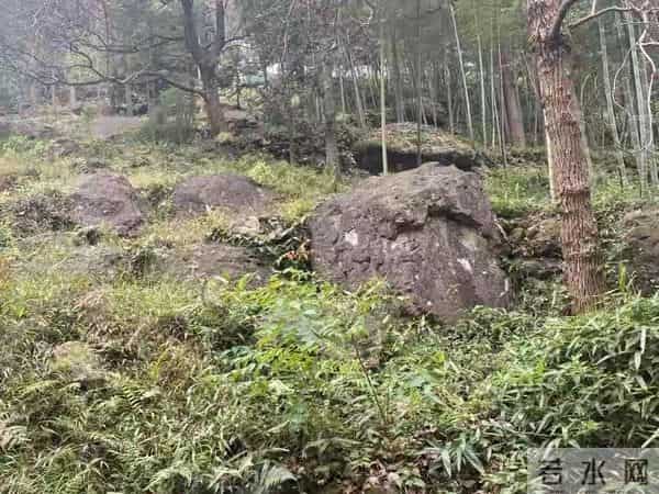 谁能想到，家门口的石头，竟是地球写给时间的情书。