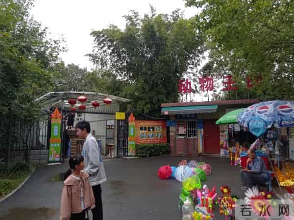 三年级日记之2025年国庆节游记和生活记录三则300字