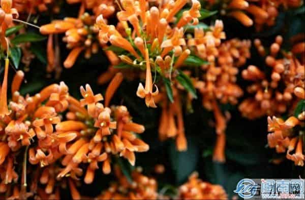 三八妇女节走心高级文案 妇女节暧心祝福语说说句子