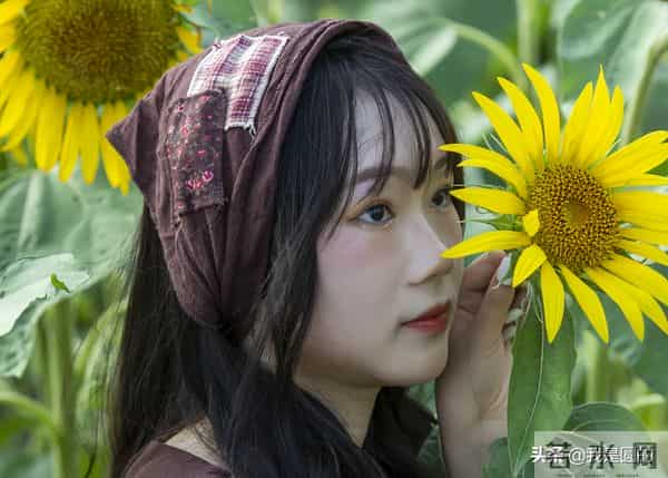 花千姿——花海国庆见闻（原创摄影+随笔300字）