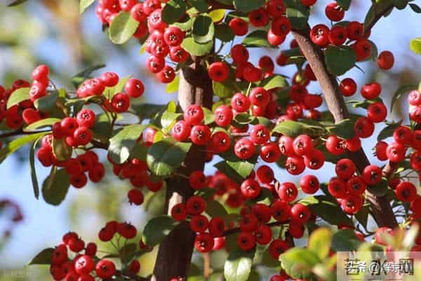 人活一生,健康的活着,平静的过着,开心的笑着,适当的忙着,就很好
