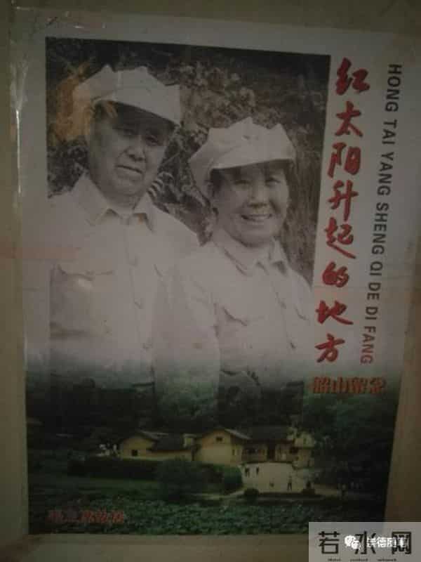 陪父日记（第7天）（纪实随笔）