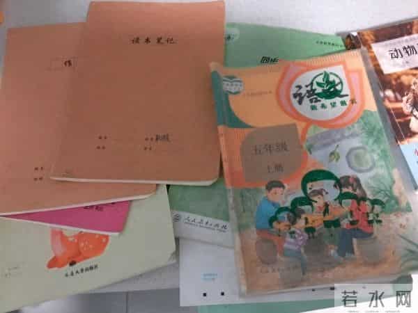 五有课堂绽活力，校本教研结硕果- 破局教研 “空转” 困局