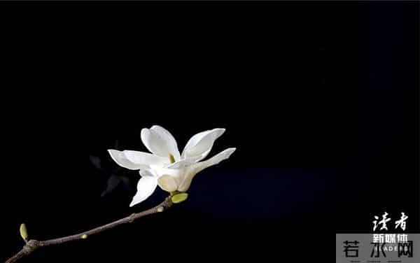 《巴黎圣母院》：改变命运的方法，永远只有一个