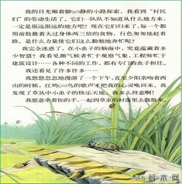 草虫的世界如此奇妙①——阿宝老师的“作文经”(三三四)
