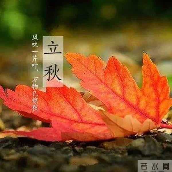 散文-二十四节气之立秋