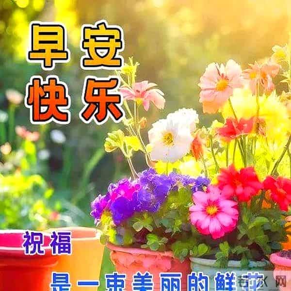 最新高情商早上好祝福语，阳光微笑早安图片，愿你平安幸福每一天