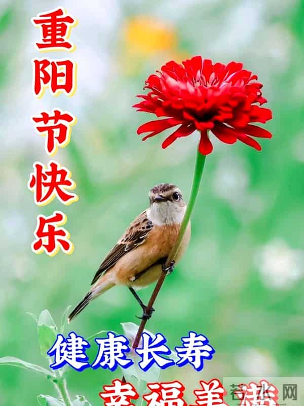 《!人民日报》:重阳节20句祝福语,祝福真挚感人,发朋友圈,送祝