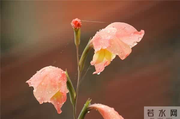 励志人生格言经典短句