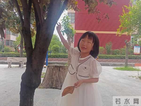 三年级日记之2025年国庆节游记和生活记录三则300字