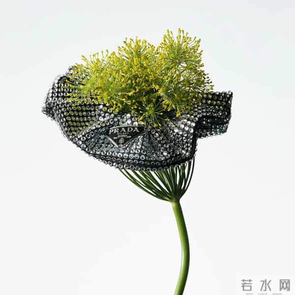 「May I love you」的意思是:在五月,我爱你