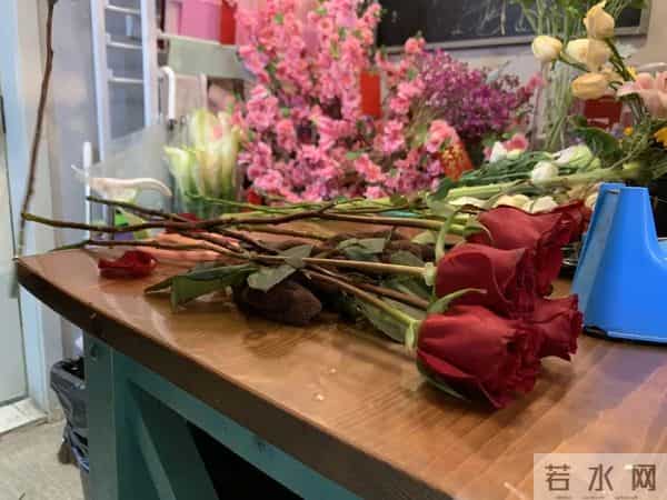 “女神节”你送花了吗？鲜花中的“顶流”就是它