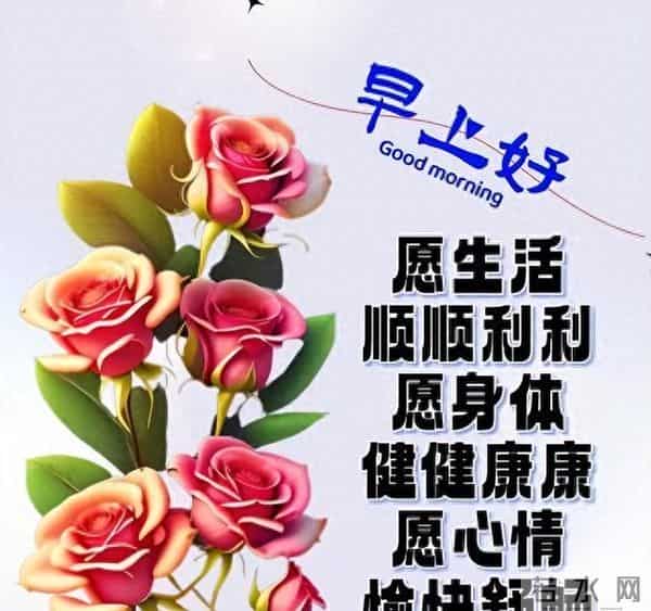 非常暖心的唯美早晨寄语，早上好祝福金句，愿喜乐平安如意