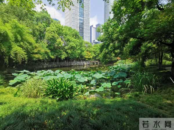 暑假余额不足，推荐带娃去杭州嘟嘟城体验最后的狂欢