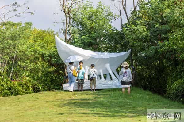 花千姿——花海国庆见闻（原创摄影+随笔300字）