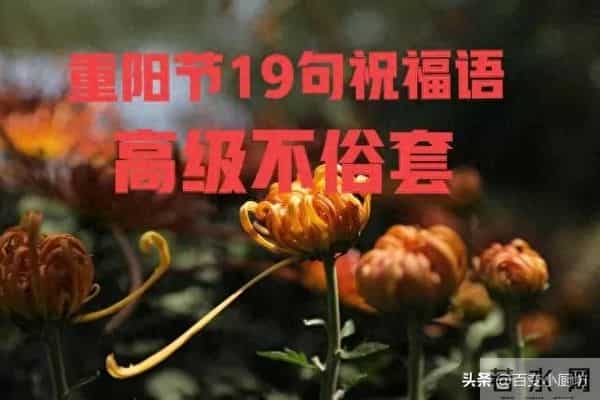 今日重阳节，别再说“重阳安康”，19句重阳祝福文案，走心又高级