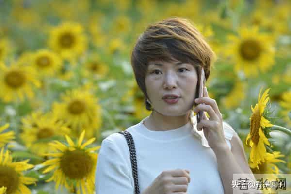 花千姿——花海国庆见闻（原创摄影+随笔300字）