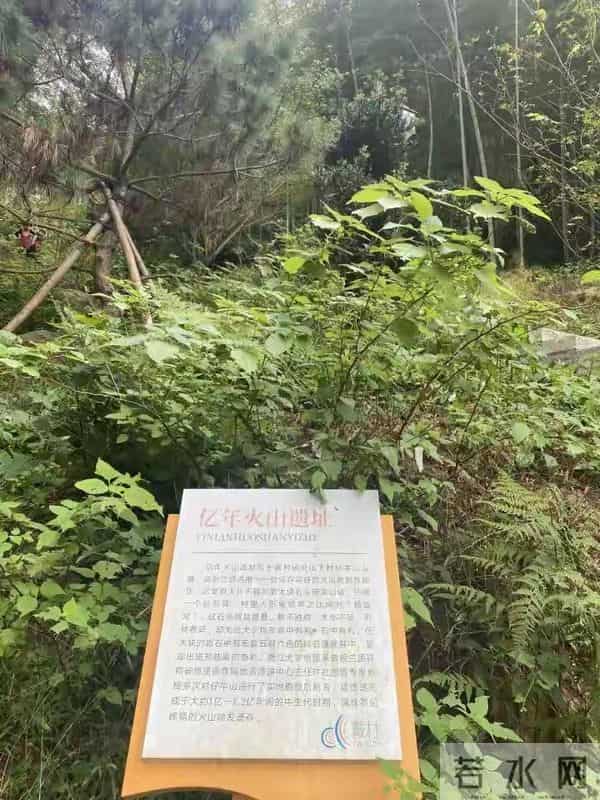 谁能想到，家门口的石头，竟是地球写给时间的情书。