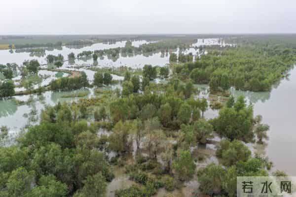新华视点丨西北暖湿化，影响几何？