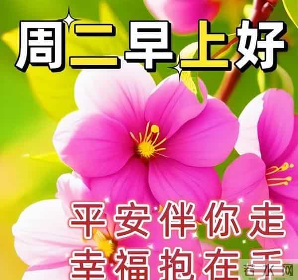 非常暖心的唯美早晨寄语，早上好祝福金句，愿喜乐平安如意