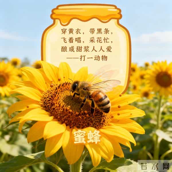 儿童最爱的谜语大全（按类整理）