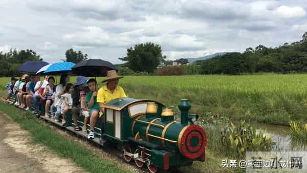 营地亲子活动的意义和价值