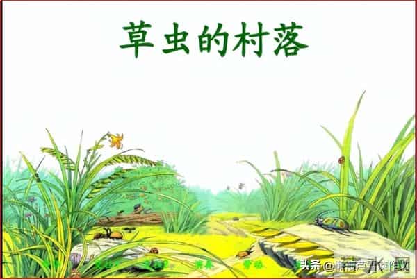 草虫的世界如此奇妙①——阿宝老师的“作文经”(三三四)