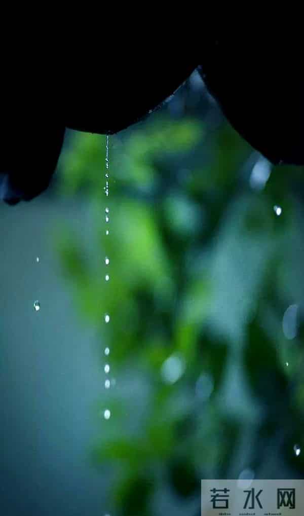 一场小雨一首诗，十首小雨诗词，如丝如缕，似烟似梦，沉醉千年！