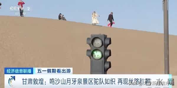五一过半，趣事一箩筐，不仅人堵了骆驼也堵了……