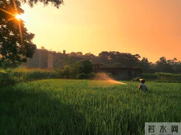 早上多跟孩子说这10句话，孩子会越来越旺！请父母相信语言的力量